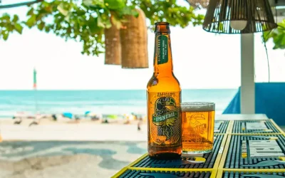 Cerveza Favela, ¿de dónde viene?